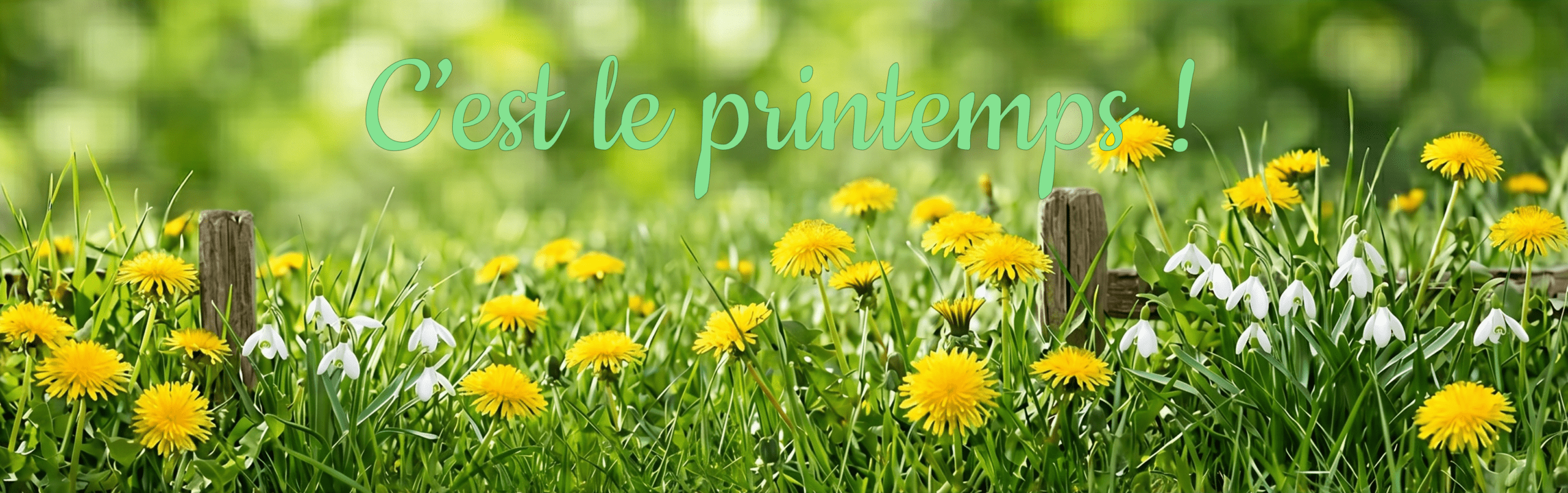 Bandeau printemps